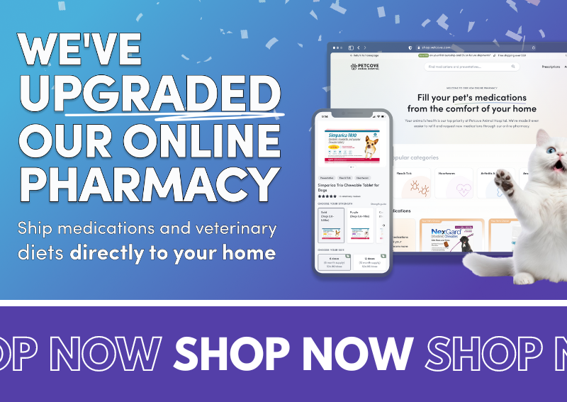 Carousel Slide 1: Check out our new and improved Online Pharmacy!