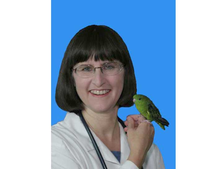 Phoenix bird specialist